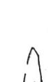 shard2x1.jpg